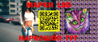 СК Пугачёв