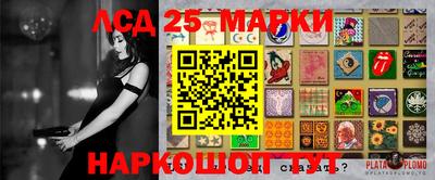 СК Пугачёв